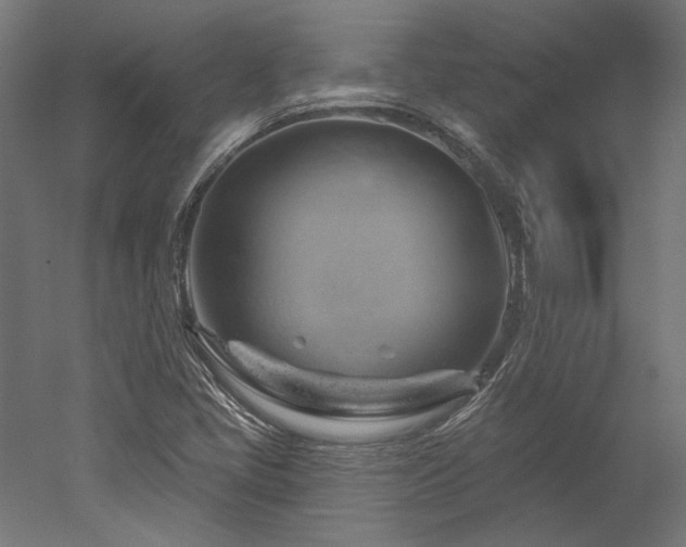 X0000052641405200507011334