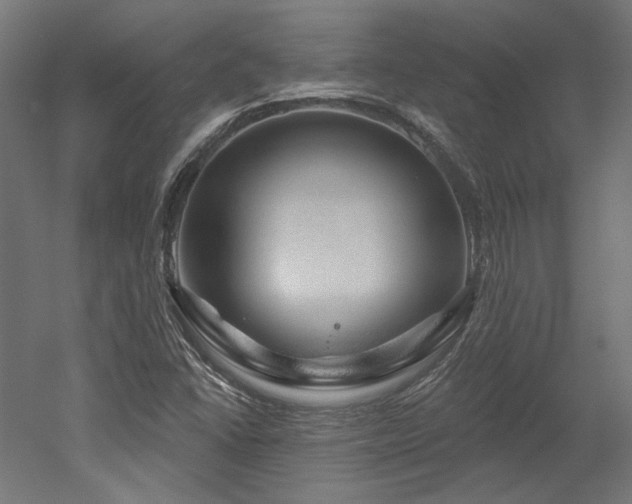 X0000052641406200507011334
