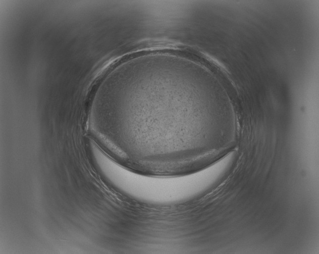 X0000052641407200507011334