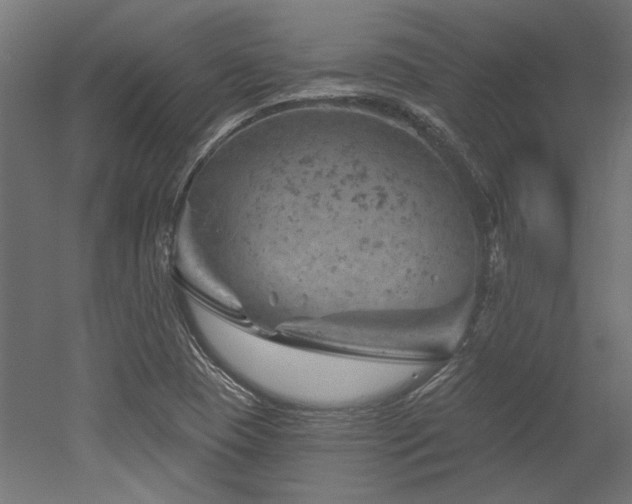 X0000052641409200507011334