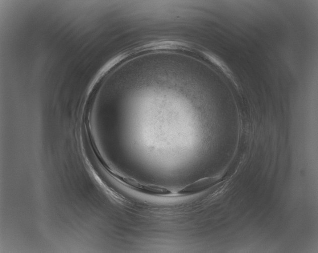 X0000052641418200507011334
