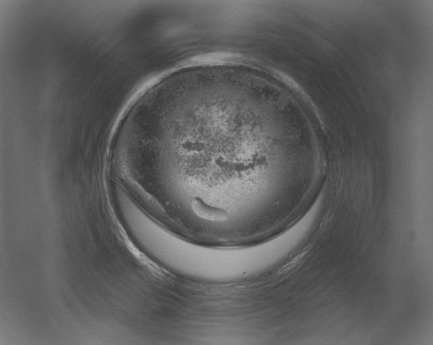 X0000052641421200507011334