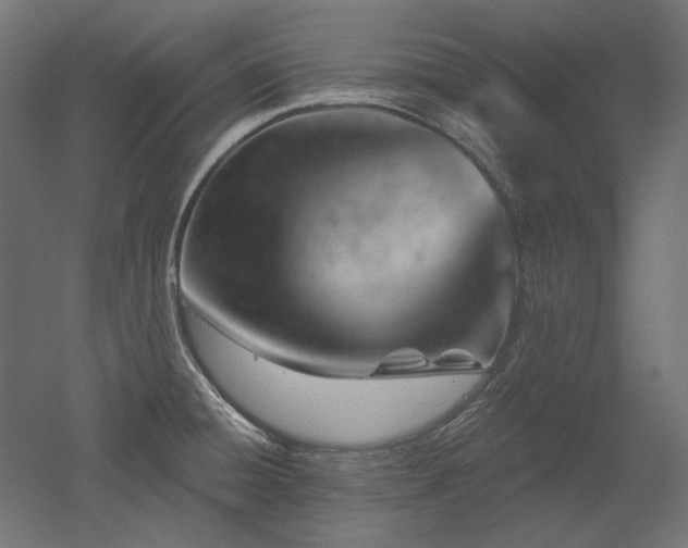 X0000052641428200507011334