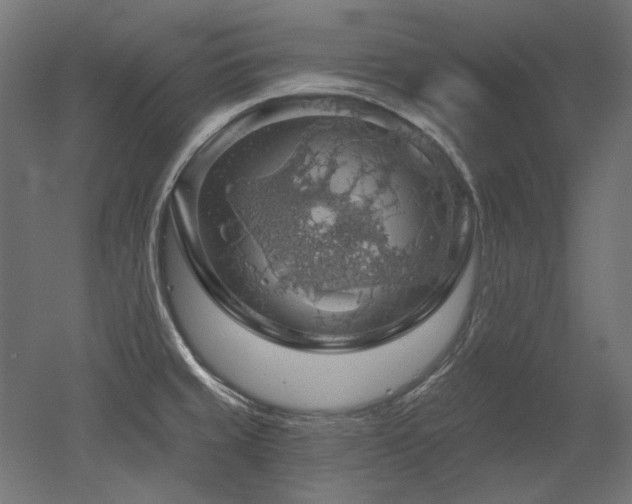 X0000052641429200507011334