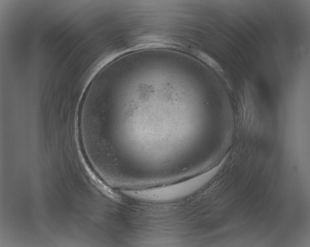 X0000052641431200507011334