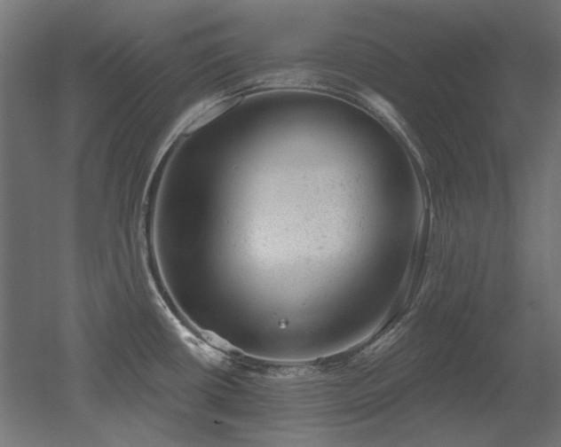X0000052641434200507011334