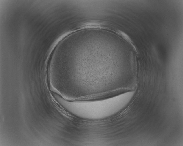 X0000052641435200507011334