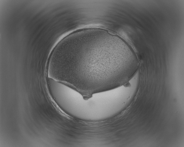 X0000052641436200507011334