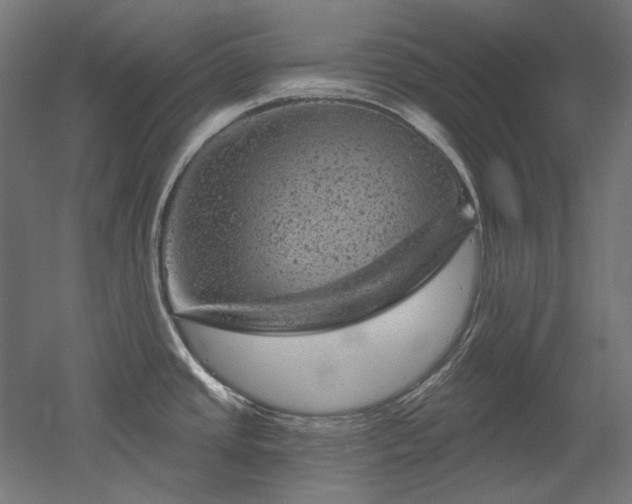 X0000052641437200507011335
