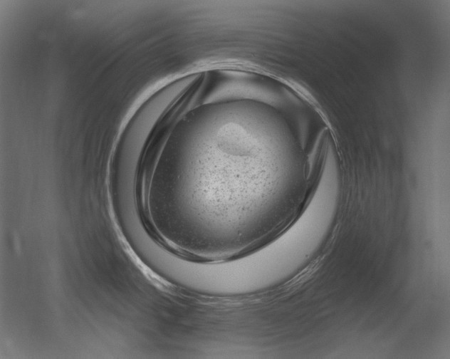 X0000052641438200507011335