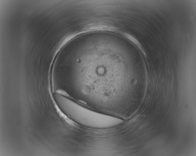 X0000052641439200507011335