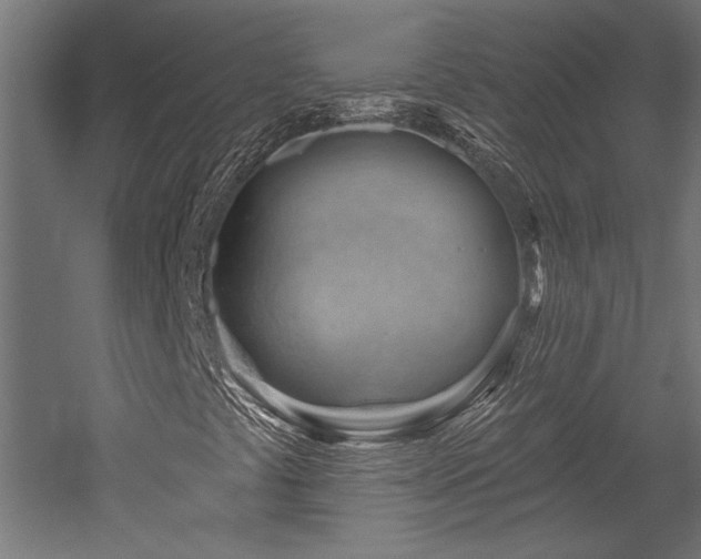 X0000052641441200507011334