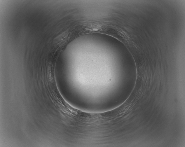 X0000052641442200507011334