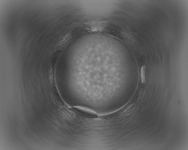 X0000052641443200507011334