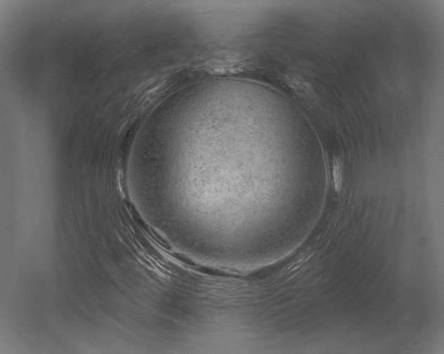 X0000052641444200507011334