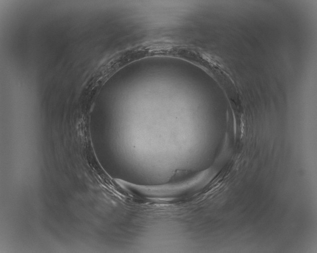 X0000052641445200507011334