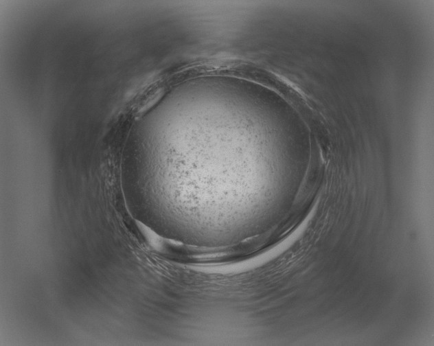 X0000052641447200507011334