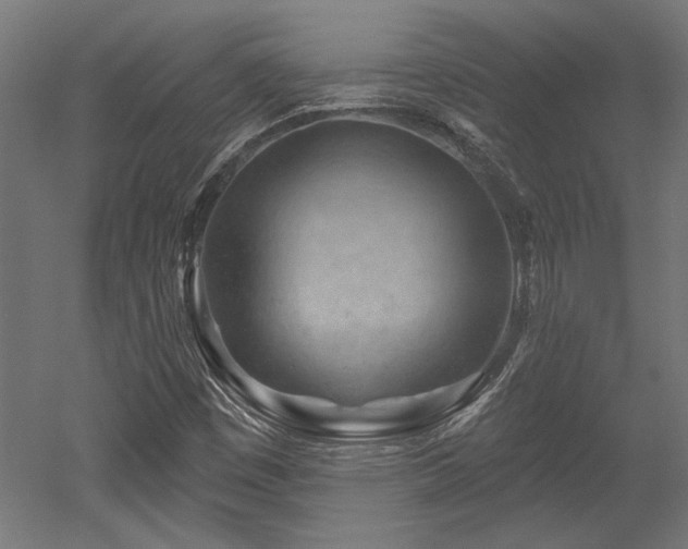 X0000052641449200507011334