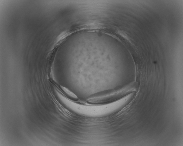 X0000052641451200507011334
