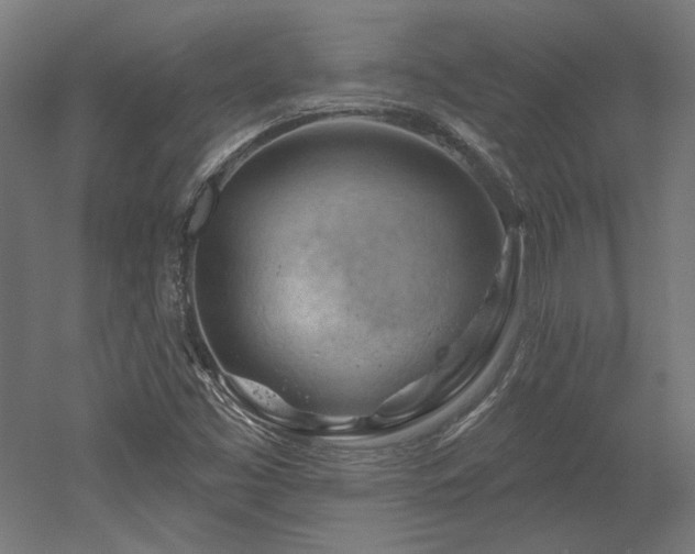 X0000052641453200507011334