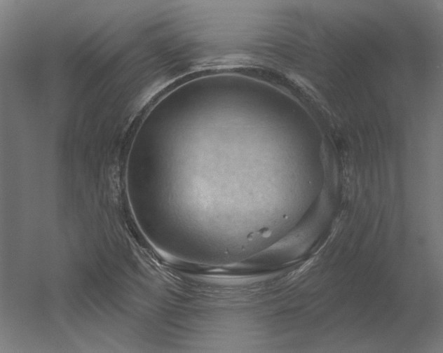 X0000052641457200507011333