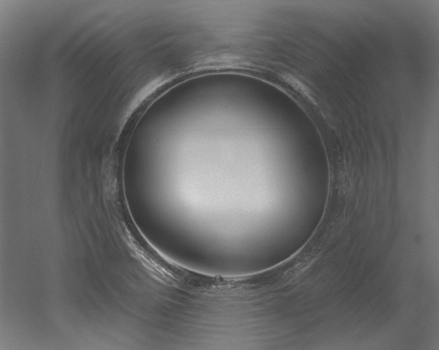 X0000052641458200507011333