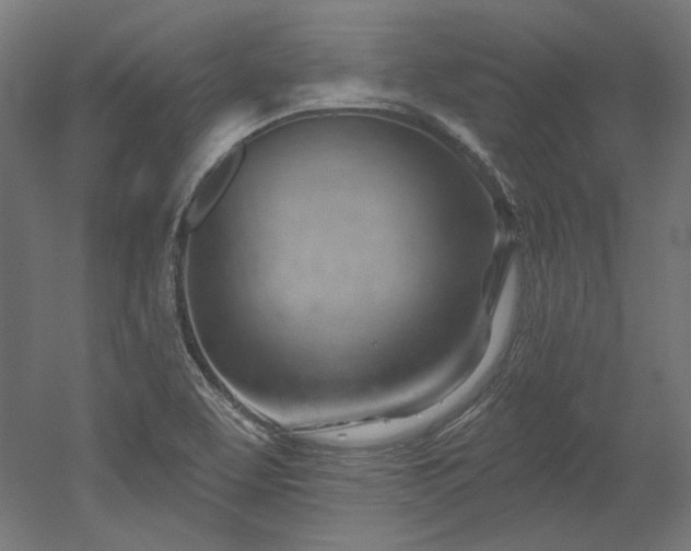 X0000052641463200507011333