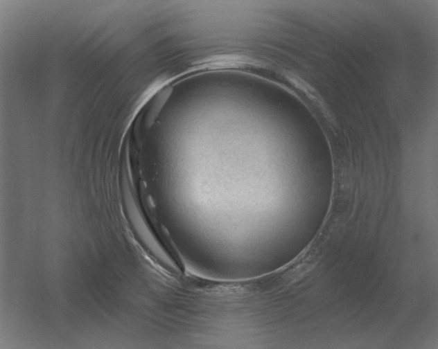 X0000052641473200507011333