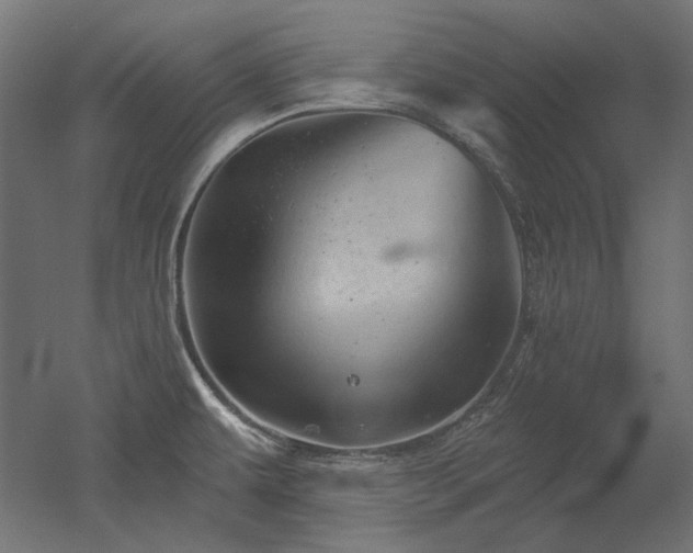 X0000052641479200507011333