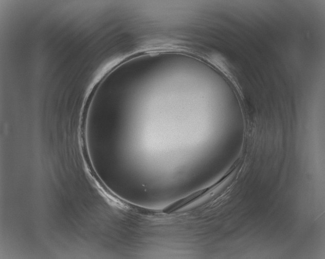 X0000052641485200507011333