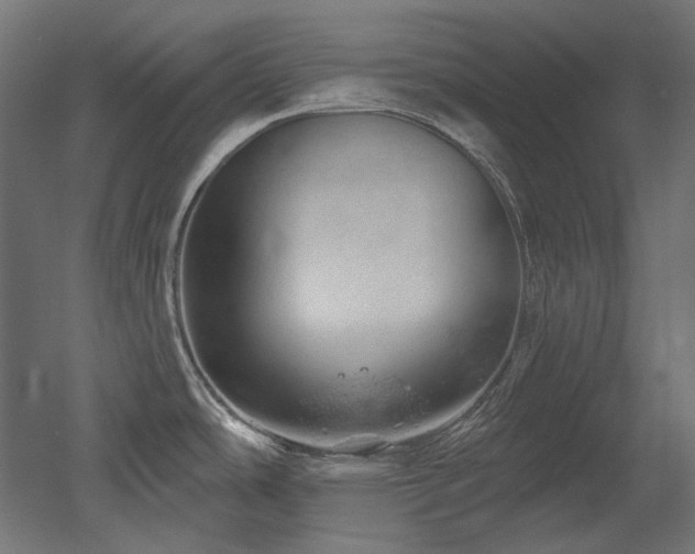 X0000052641486200507011333
