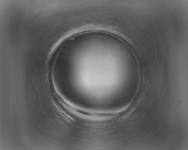 X0000052641502200507011332