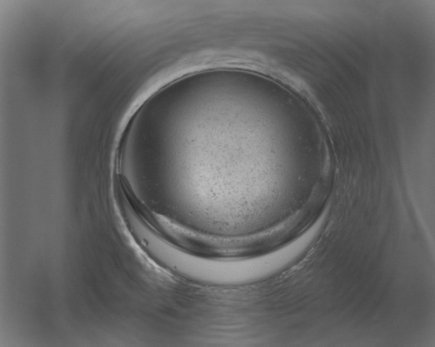 X0000052641520200507011333