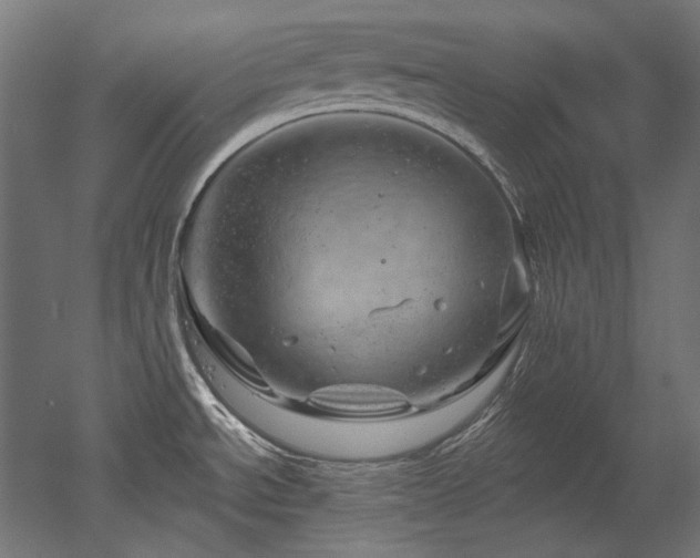 X0000052641534200507011333
