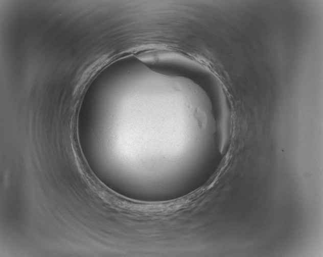 X0000052640001200507082018