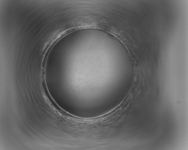 X0000052640002200507082018