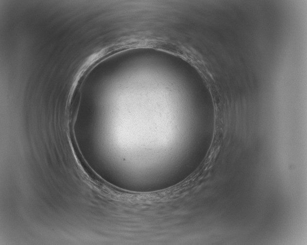 X0000052640003200507082018