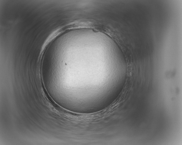 X0000052640004200507082018