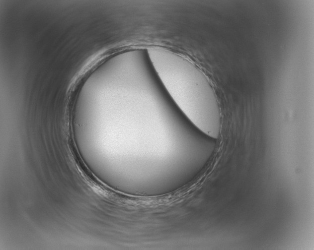 X0000052640005200507082018