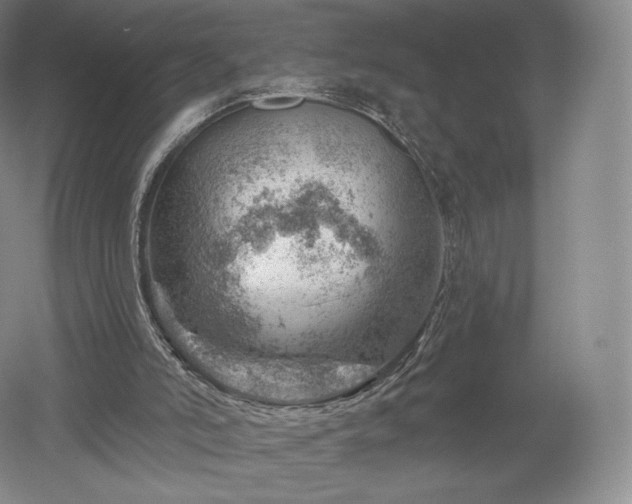 X0000052640006200507082018