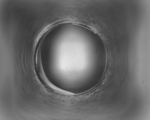 X0000052640007200507082017