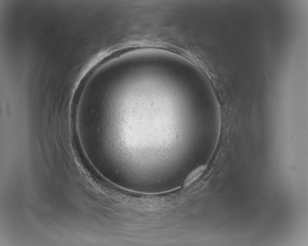 X0000052640008200507082017