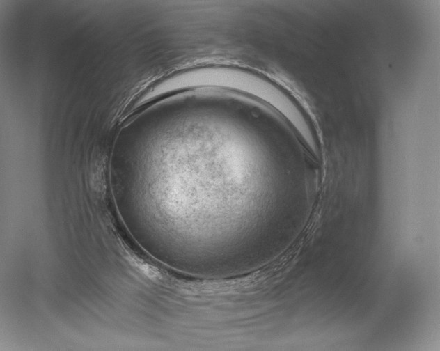 X0000052640009200507082017