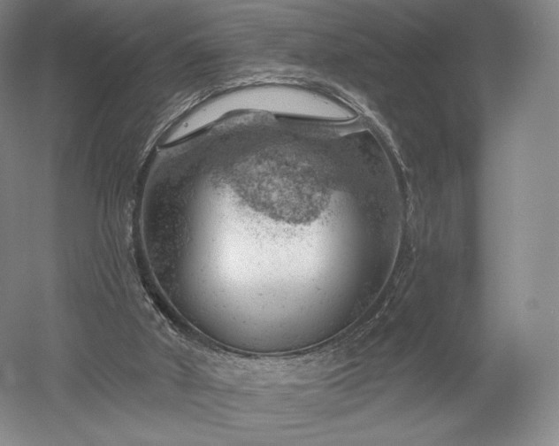 X0000052640010200507082017