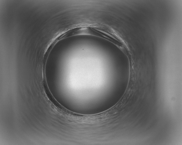 X0000052640011200507082017