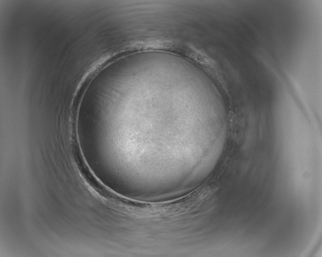 X0000052640012200507082017