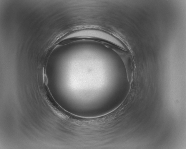 X0000052640013200507082017