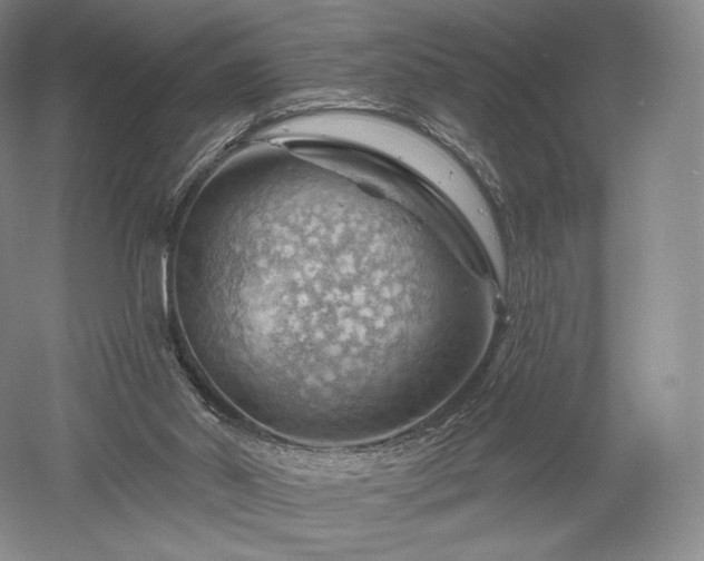 X0000052640014200507082017