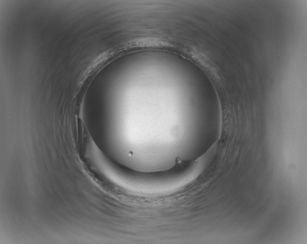 X0000052640015200507082017