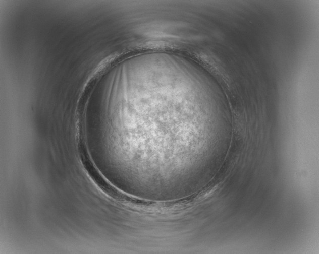 X0000052640016200507082017